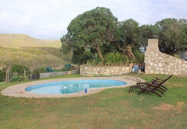 The shared swimming pool beside White House Cottage, with loungers, a stone braai chimney and milkwood trees.